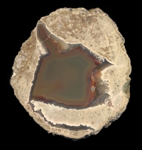 White Rock Springs Thunderegg